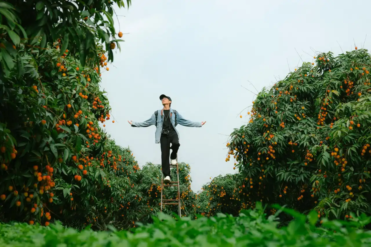 工业自动化设备升级中的难点与系统集成优化策略