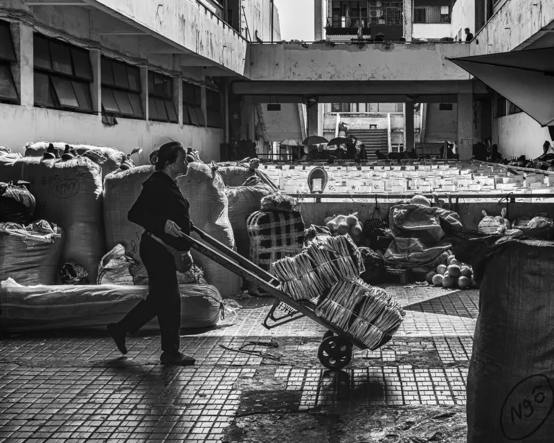 工业自动化设备升级方案：野梁科技智能控制系统集成案例