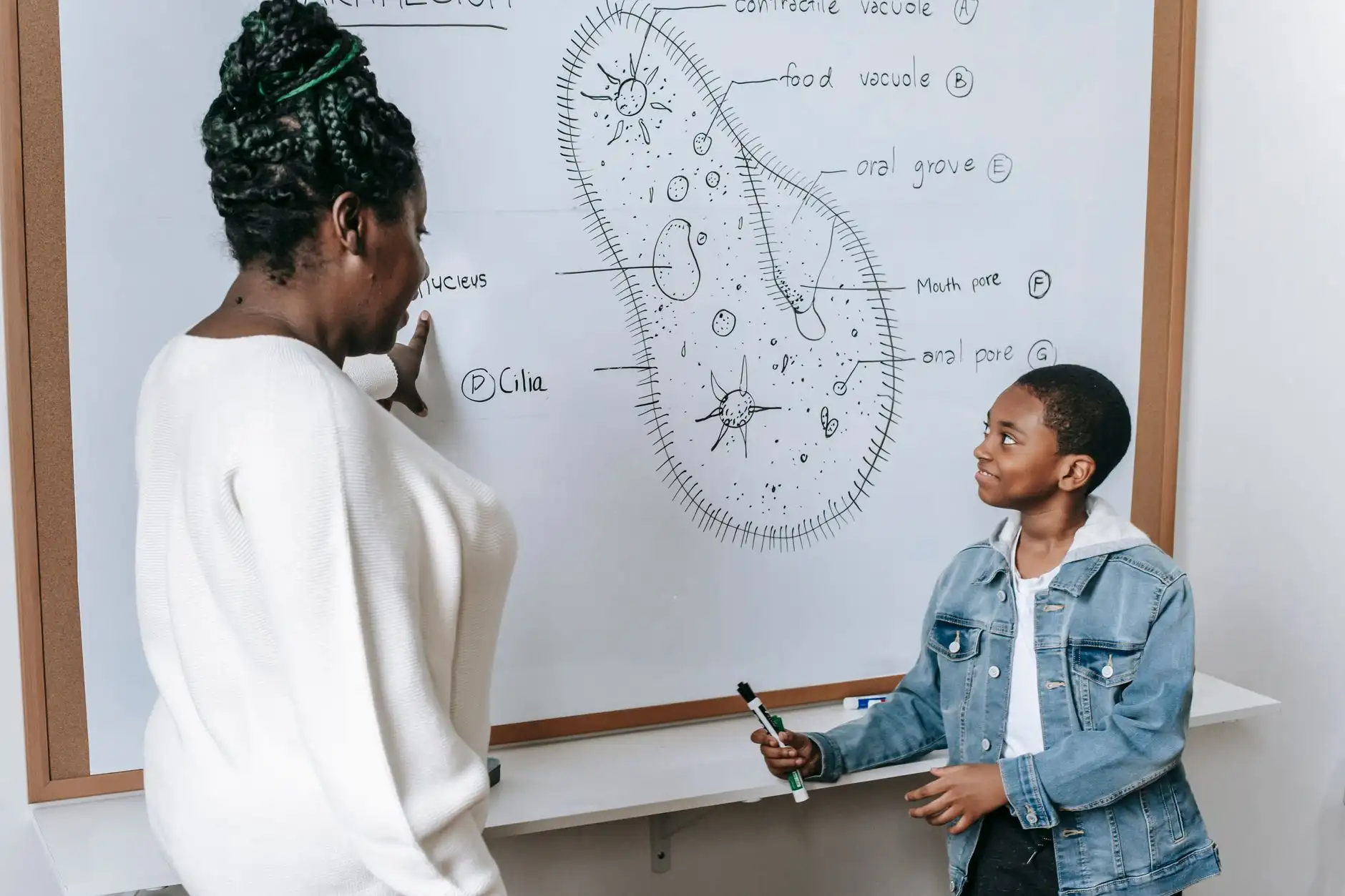 工业自动化系统集成如何推动制造企业产线效率提升
