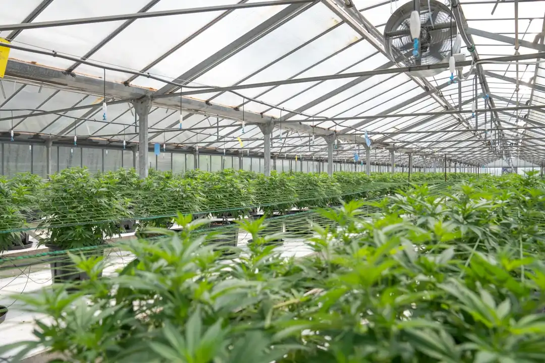 工业自动化设备升级：老旧产线改造的常见挑战与解决方案
